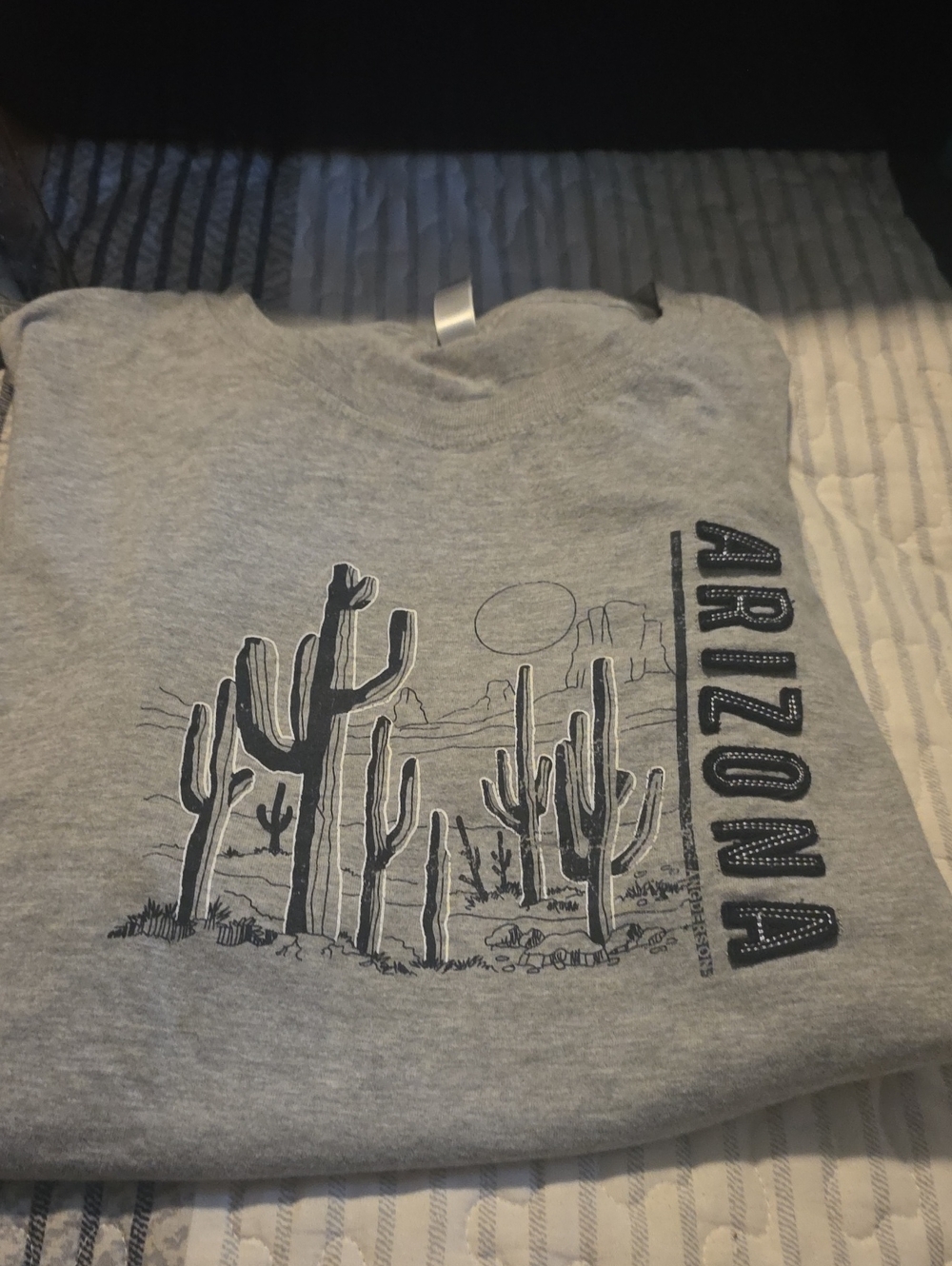 Arizona Grey Cactus Graphic Sweatshirt